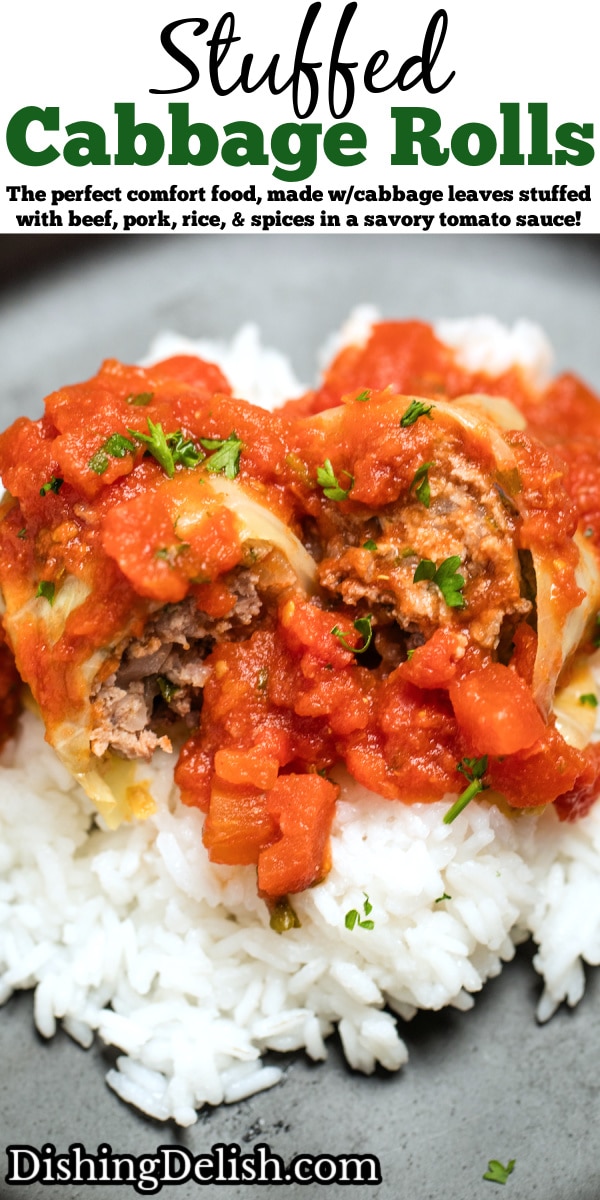Stuffed Cabbage Rolls • Dishing Delish
