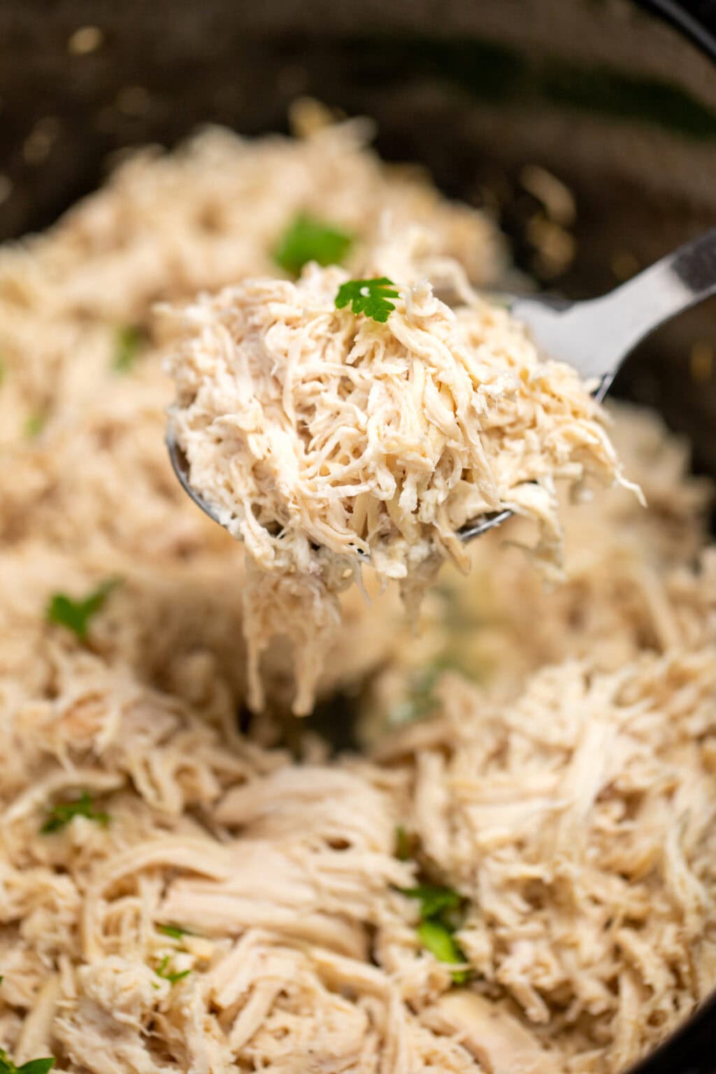 Slow Cooker Shredded Chicken • Dishing Delish