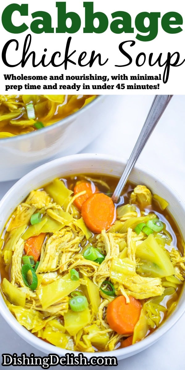 Cabbage Chicken Soup • Dishing Delish