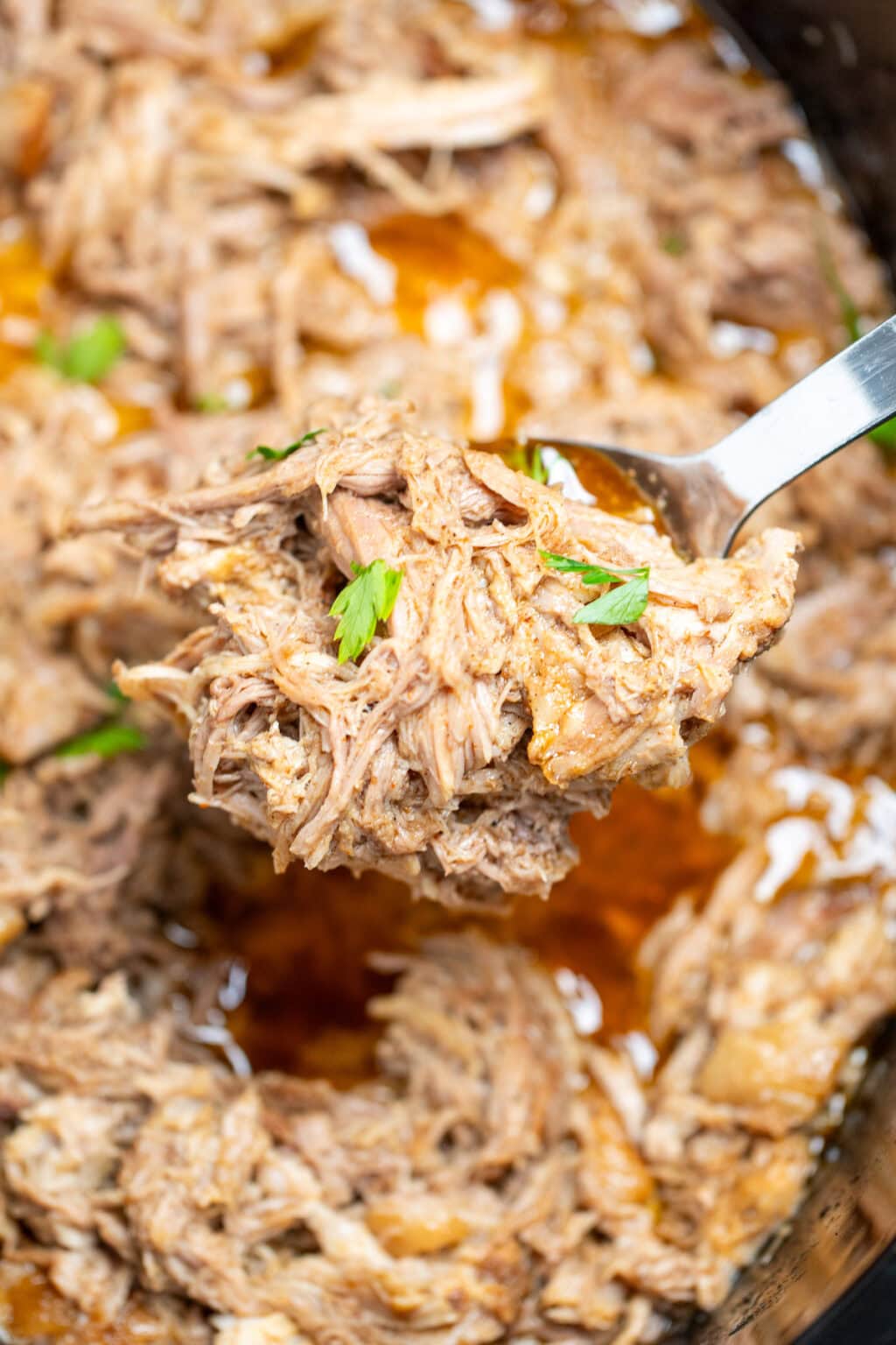 Slow Cooker Pork Shoulder • Dishing Delish