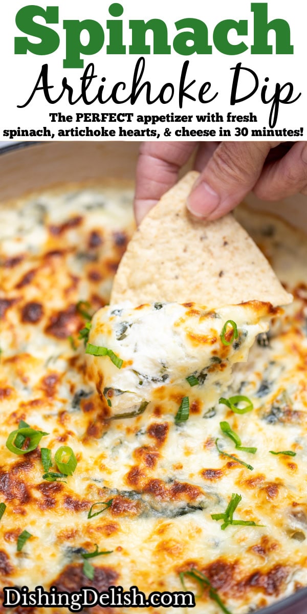 Pinterest pin with a dutch oven full of spinach artichoke dip with a caramelized top, topped with chopped green onions, with a hand holding a tortilla chip scooping up some dip.