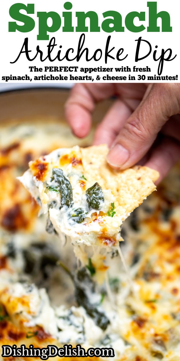 Pinterest pin with a dutch oven full of spinach artichoke dip with a caramelized top, topped with chopped green onions, with a hand holding a tortilla chip scooping up some dip.