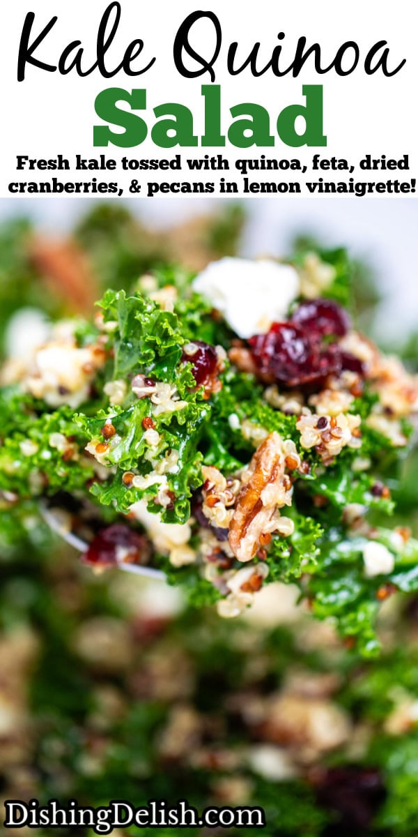 Pinterest pin with a spoon lifting up some Kale Quinoa Salad with massaged kale, quinoa, dried cranberries, and pecans.