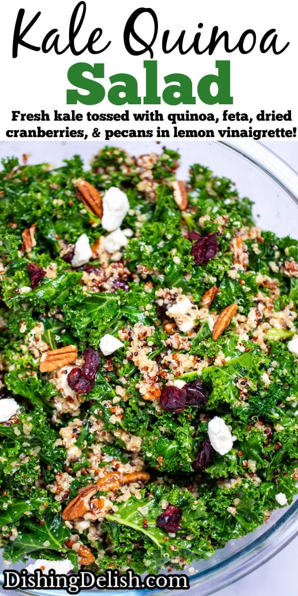 Pinterest pin with a bowl full of Kale Quinoa Salad with massaged kale, quinoa, dried cranberries, feta, and pecans.