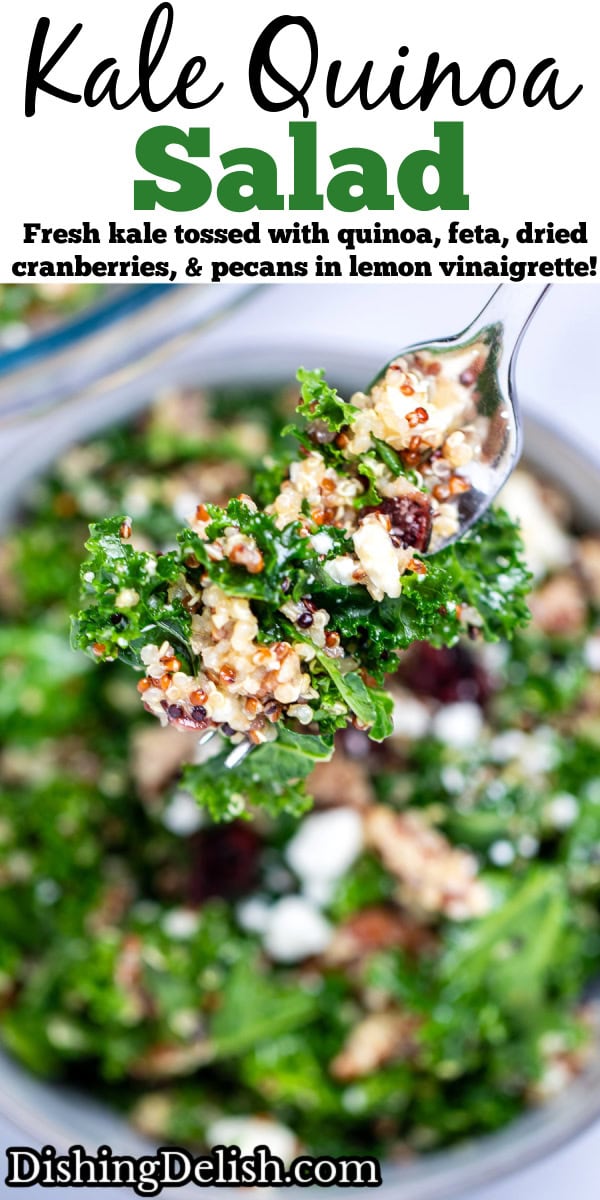 Pinterest pin with a fork lifting up some Kale Quinoa Salad with massaged kale, quinoa, dried cranberries, and pecans.