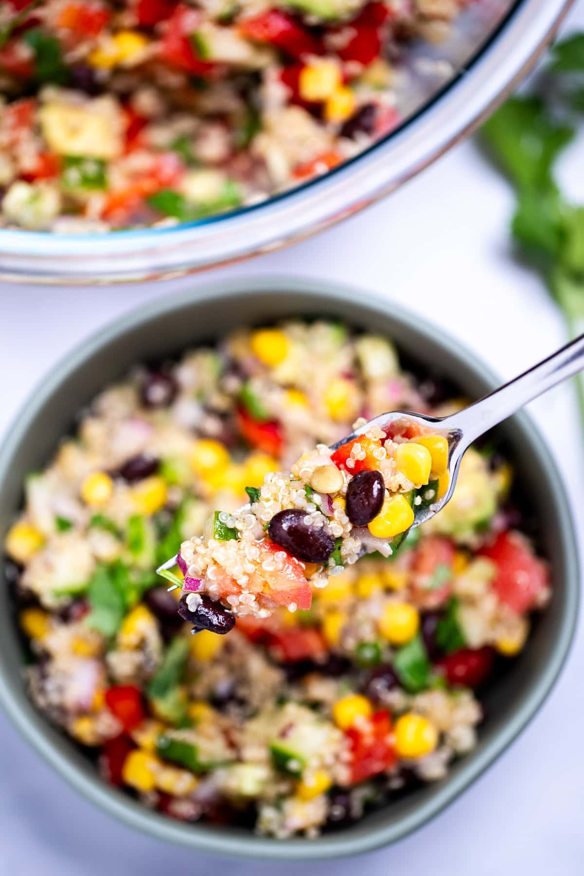 A fork lifting black bean quinoa salad from a bowl, with a larger glass bowl of salad in the background.