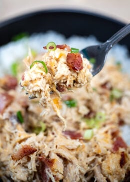 A fork lifting some cream cheese chicken up topped with crispy bacon pieces and green onion.