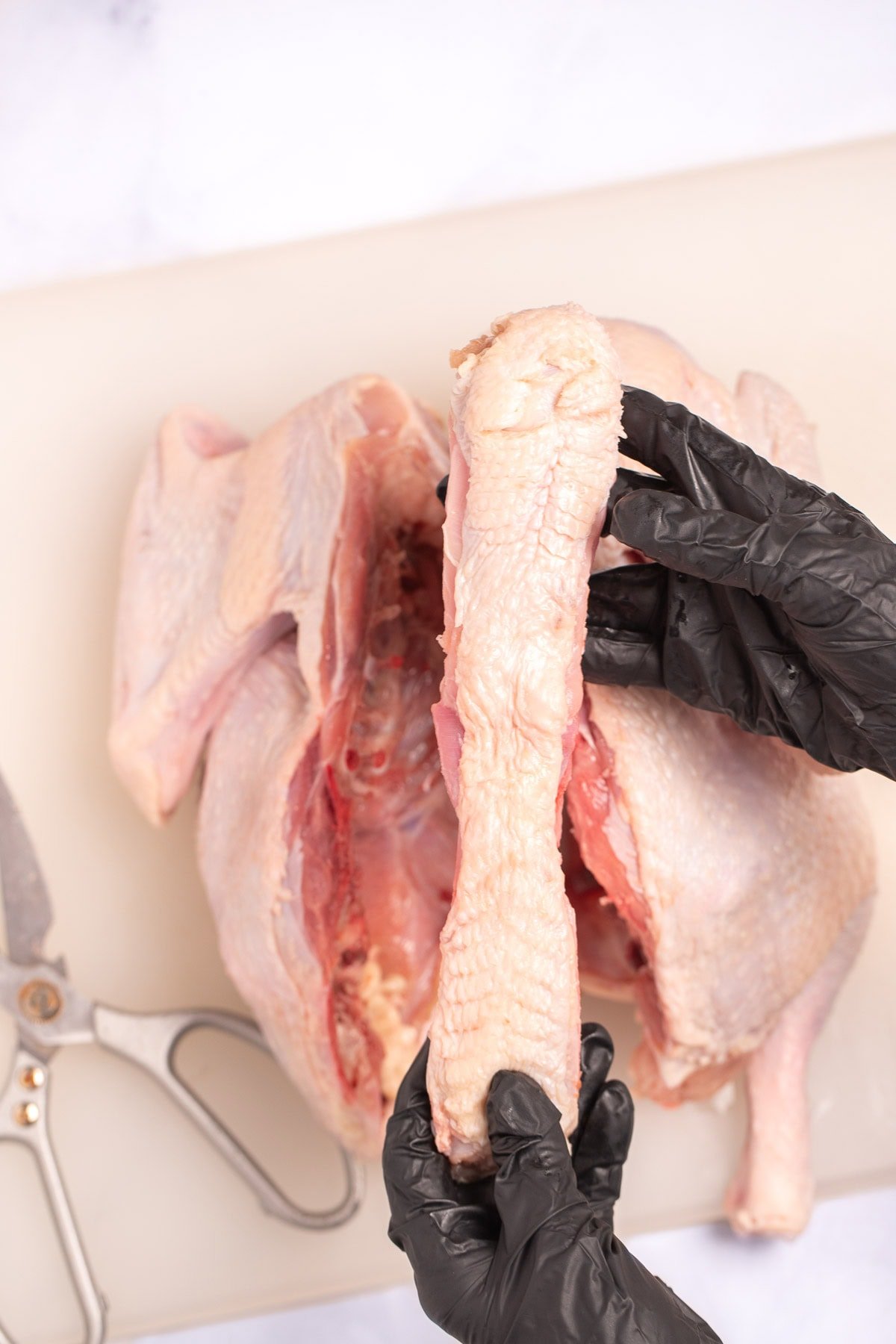 Hands holding a turkey spine above a whole turkey on a cutting board next to kitchen shears.