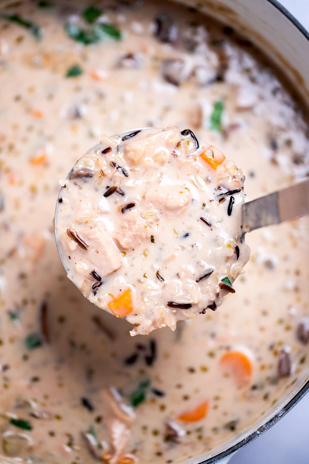 Delicious homemade creamy leftover turkey and wild rice soup garnished with fresh parsley in a dutch oven, with a ladle lifting some up.