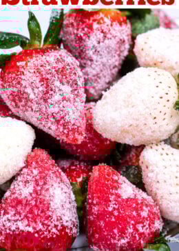 Red and white sugar coated champagne strawberries on a plate.