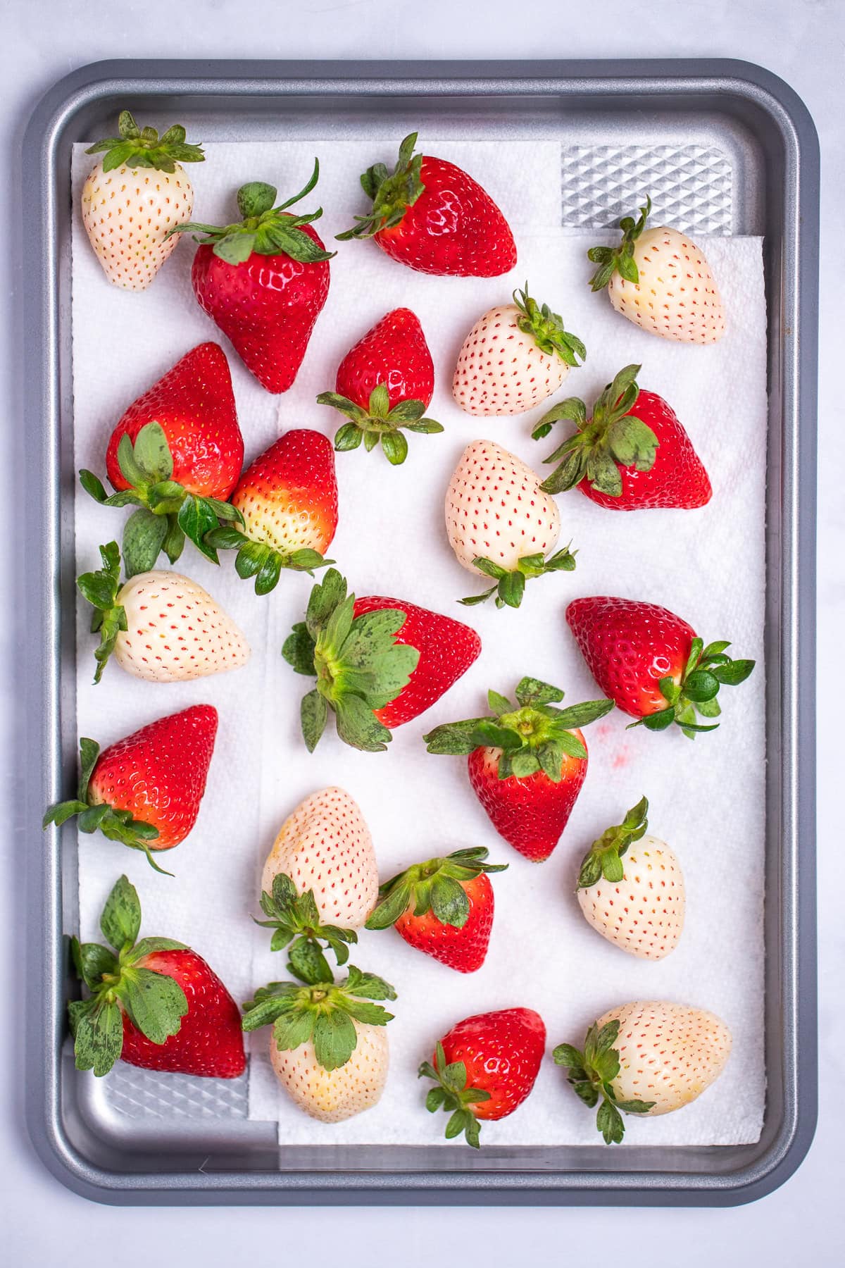 Red and white strawberries on paper towels on a sheet pan.