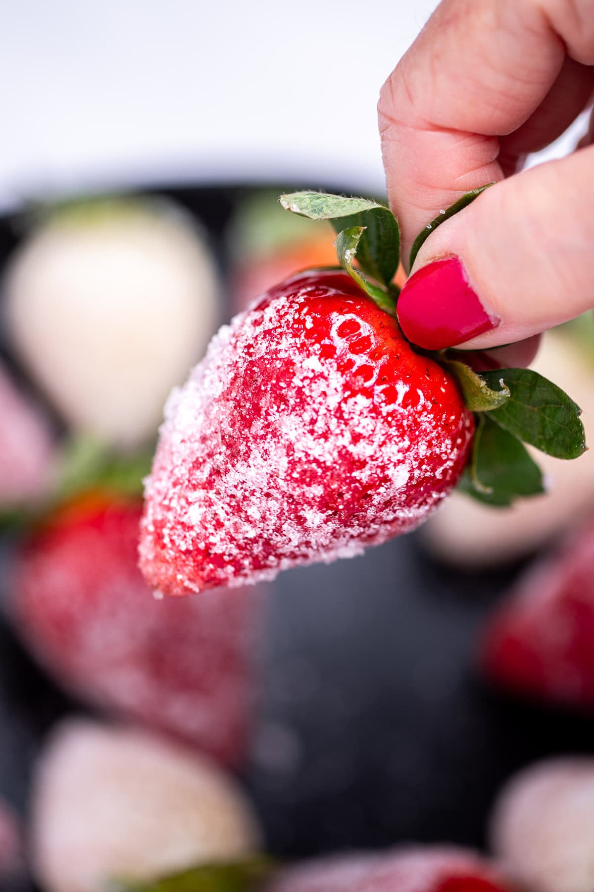 A hand holding a sugar coated champagne strawberry over a bowl of strawberries.