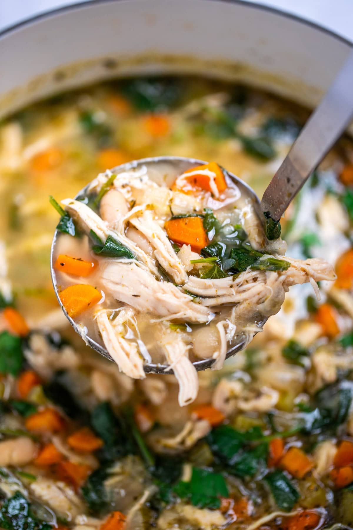 A ladle lifting white bean chicken soup out of a pot.
