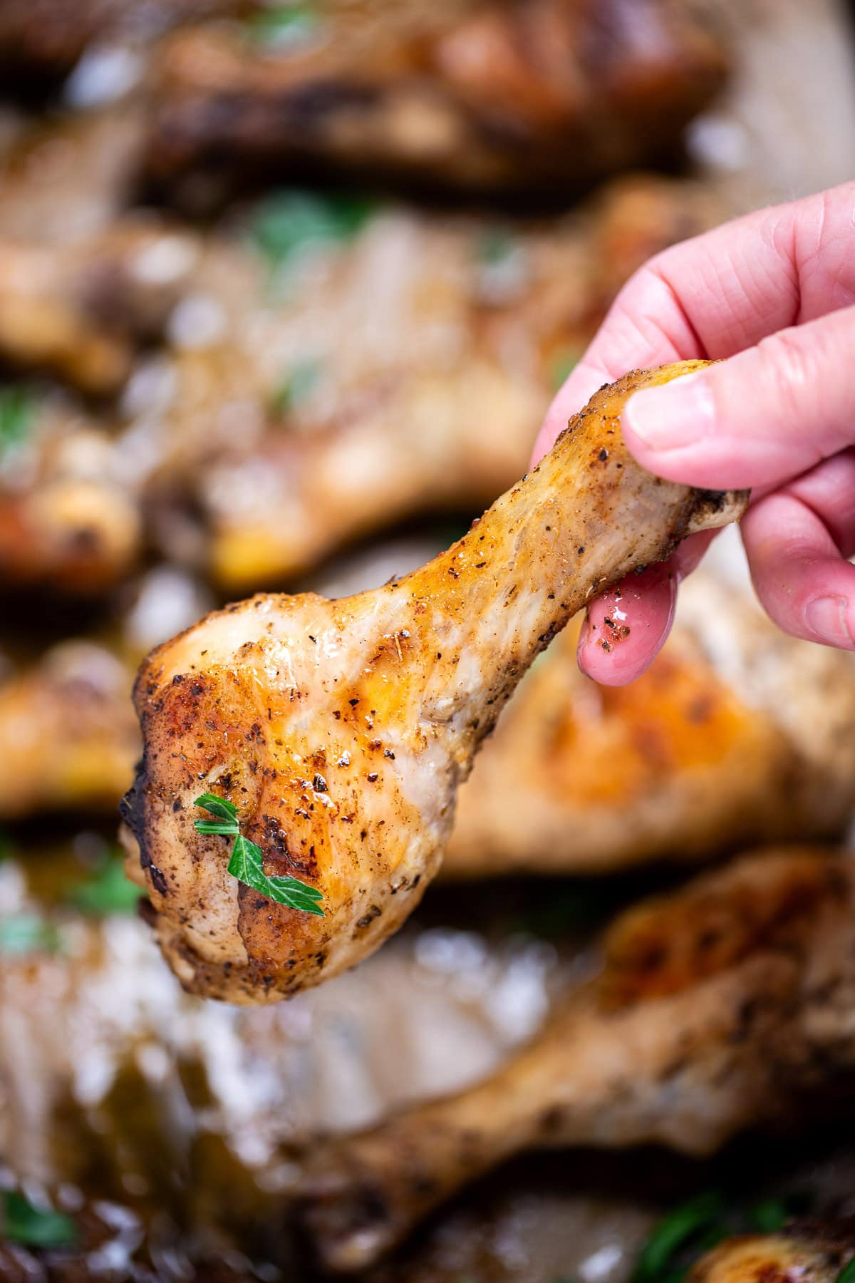 A hand holding a chicken drumstick that's been baked in the oven, topped with fresh parsley.