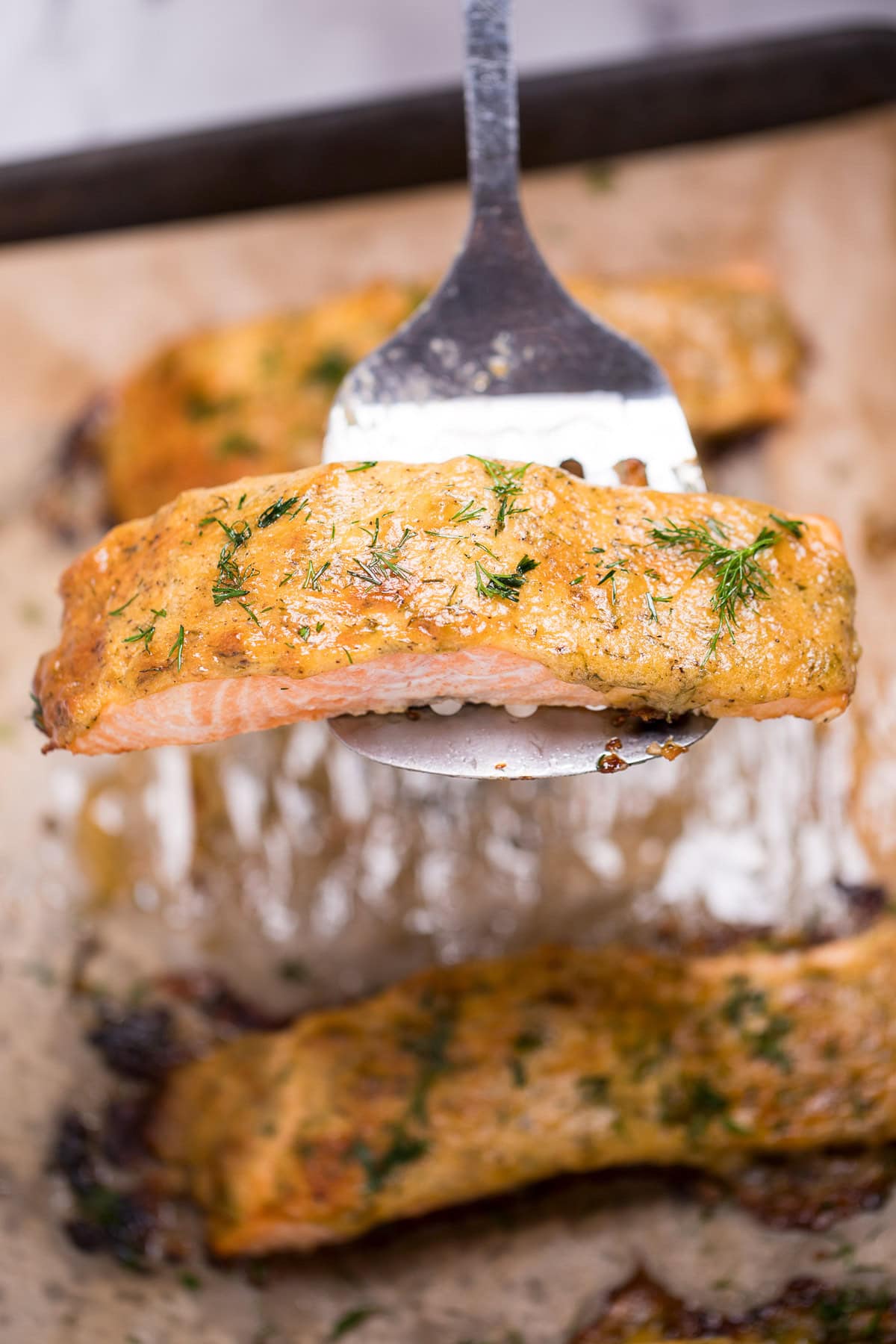 A spatula lifting up a piece of honey dijon salmon topped with fresh dill, over a sheet pan of more salmon pieces.