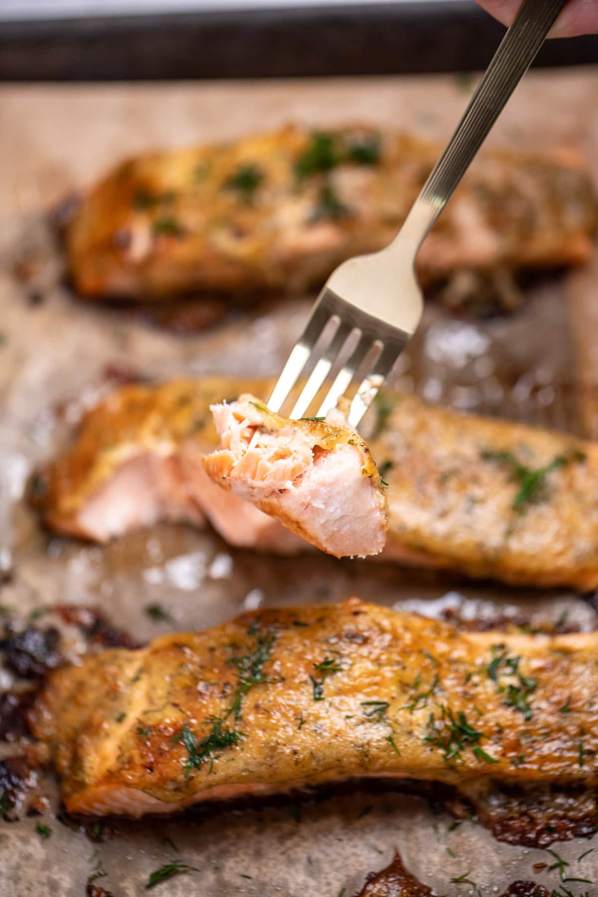 A fork lifting up a piece of honey dijon salmon topped with fresh dill, over a sheet pan of more salmon pieces.