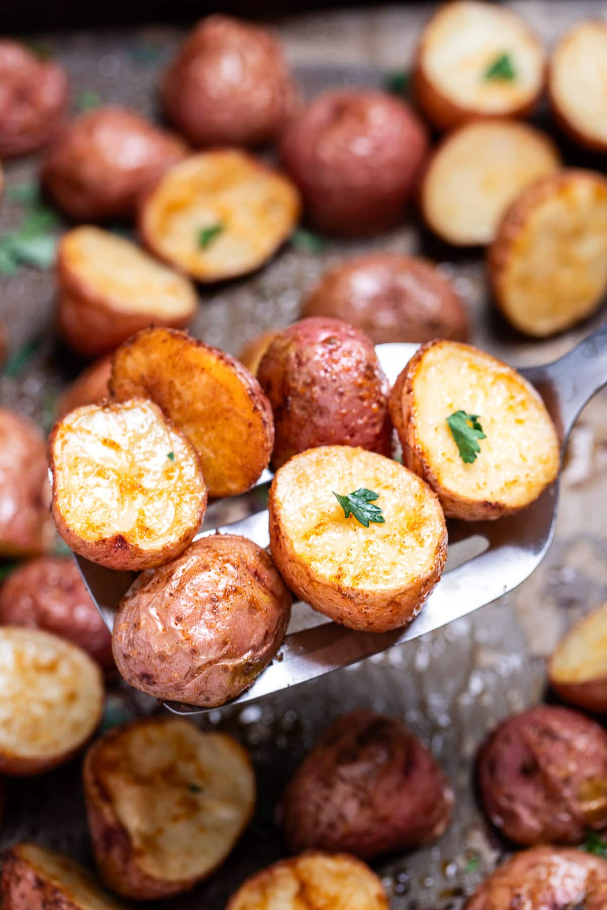 A sheet pan lined with parchment paper, with seasoned halved red potatoes after being roasted, topped with chopped fresh parsley. A spatula is lifting some potatoes up.