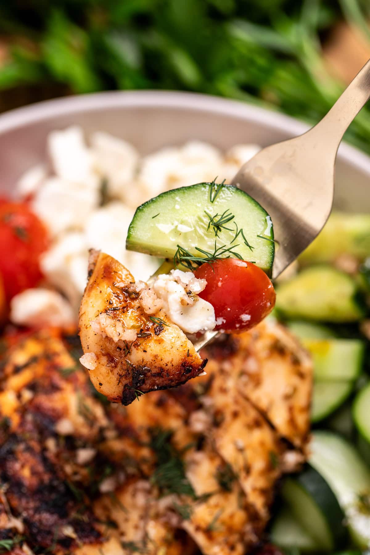A fork holding a cucumber, tomato, feta, and grilled chicken over a greek chicken bowl.