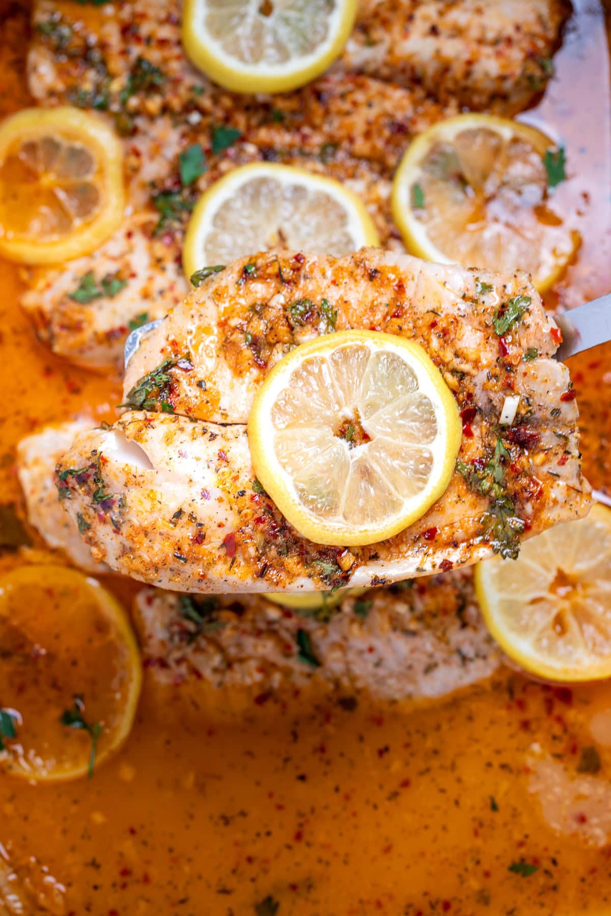 A baking dish with cooked tilapia fillets topped with garlic lemon butter sauce and lemon slices, and a spatula lifting one up.